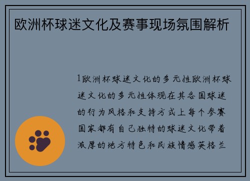 欧洲杯球迷文化及赛事现场氛围解析